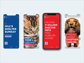 以愛為筆，以食為畫——專訪寵物食品包裝設計師